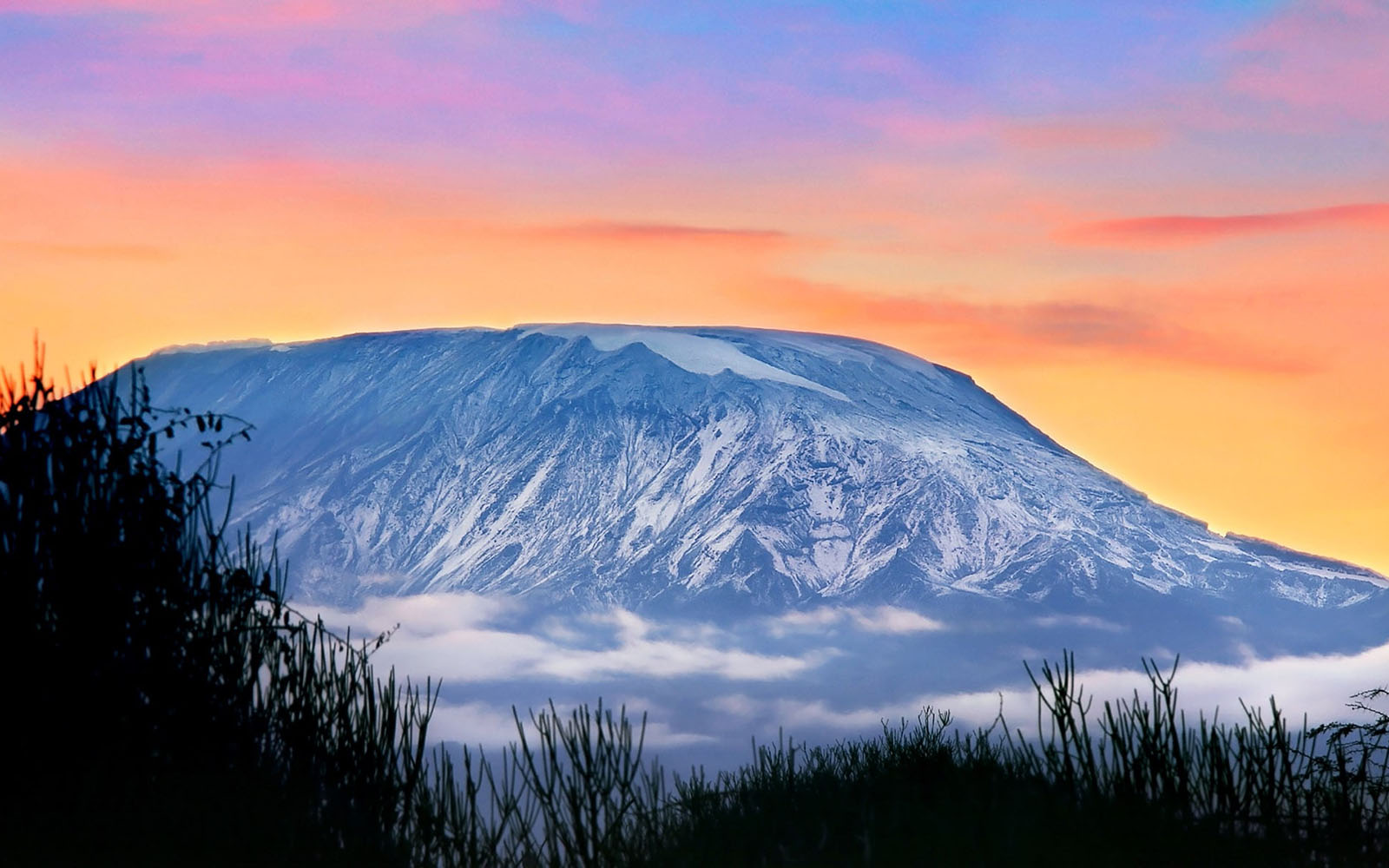 Kilimanjaro Climb